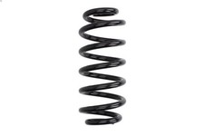 Coil spring MAGNUM TECHNOLOGY