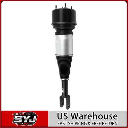 Air shock strut front - air,
