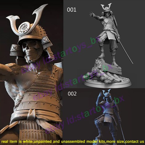 Samurai warrior 8 1 4 - warrior, 1/8