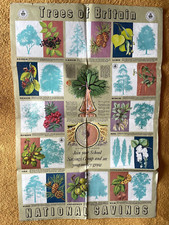 Vintage National Savings Trees