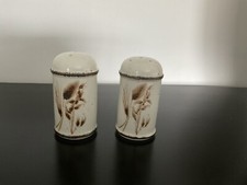 Stonehenge  Midwinter Wild