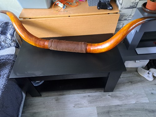 Steer horns 5ft - steer,