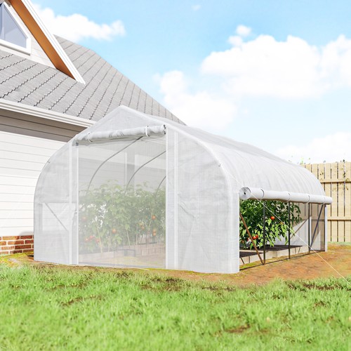 Polytunnel greenhouse - x,