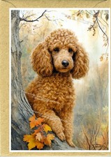 Poodle (Apricot) Dog (4"x 6")