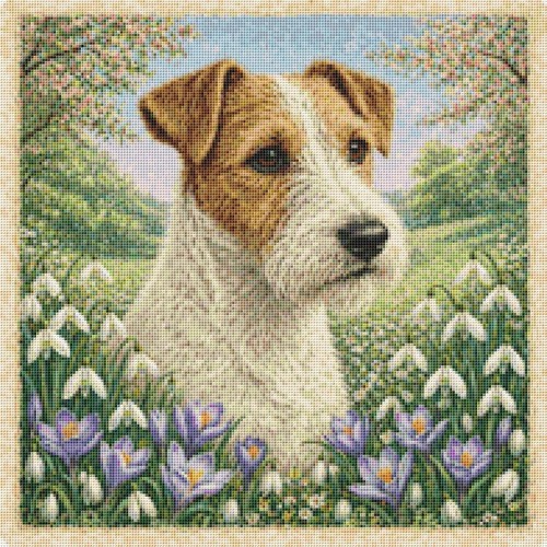 Sporting lucas terrier puppy - lucas,