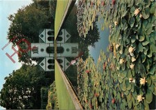 Picture Postcard_ Bodnant Garden, the Pin Mill With Water Lilies