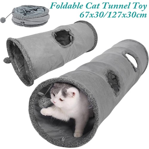 Interactive cat tunnel - interactive,