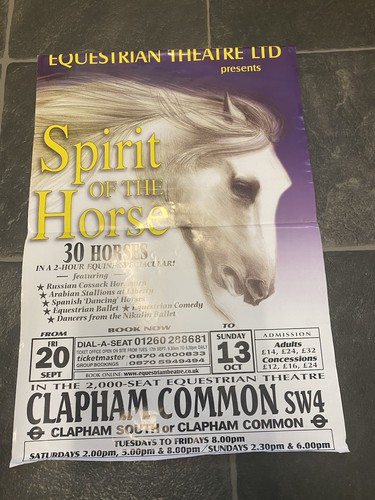 Spirit horse poster - of,