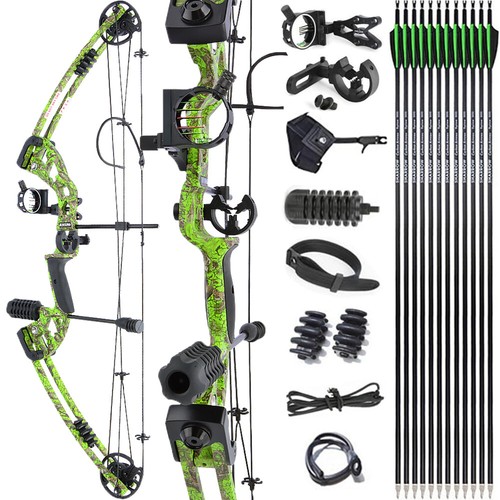 Compound bow carbon arrow set - carbon,