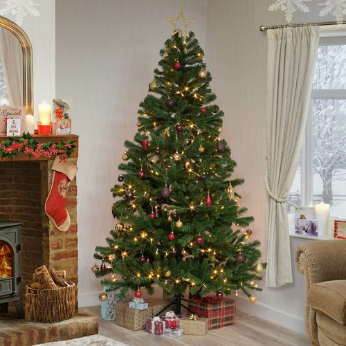 Christmas tree xmas - tree, colorado