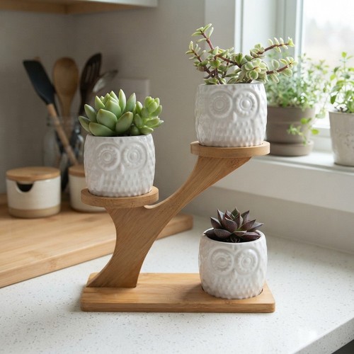 Set white ceramic - set, 3