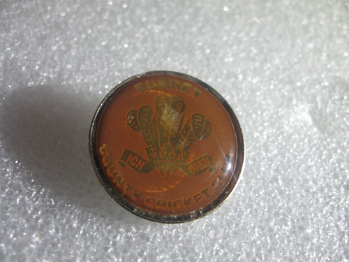 Rare old surrey - rare, cricket