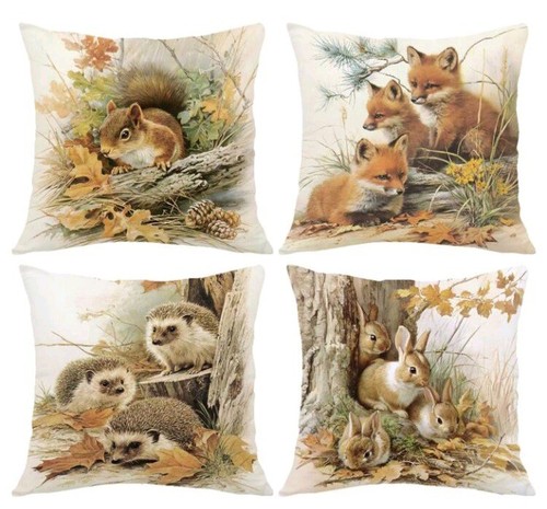 Squirrel hedgehog fox - squirrel,