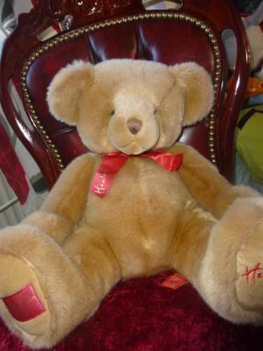 Hamleys teddy bear - teddy,