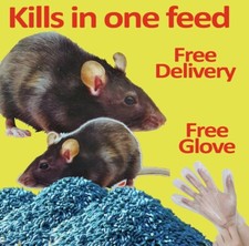 Rat & Mouse Rodent Poison Bait