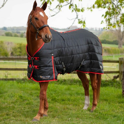 Gallop trojan 200g stable - gallop,