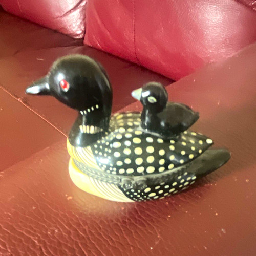 Small black duck chick - &,