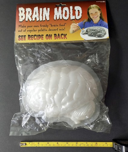 Brain jelly mould - full, size