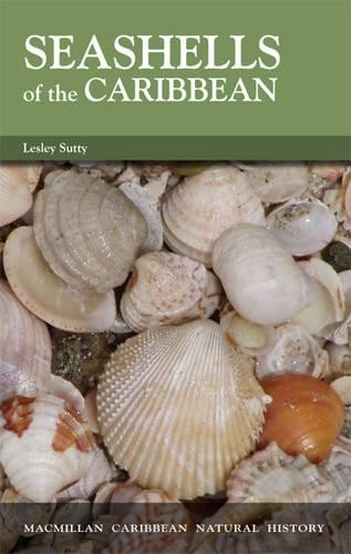 Seashells the caribbean - of,