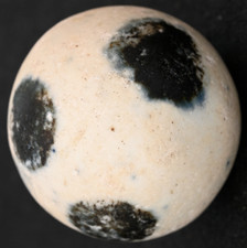 V Large Spotted Dick Antique