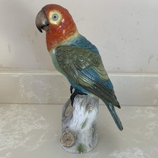Capodimonte  Italian Parrot