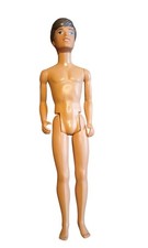 Vintage 1960s Pedigree Paul