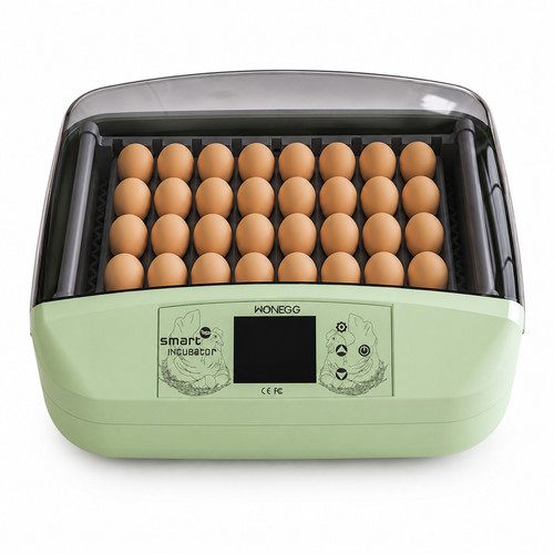Smart egg incubator - incubator, 32