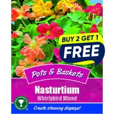 Flower Seeds Nasturtium Whirlybird mixed  - 9 Seeds Garden Plant Seed Baskets