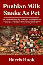 Pueblan Milk Snake as Pet: The