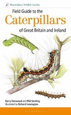Field Guide to the Caterpillars of Great Britain and Ireland - 9781472933560
