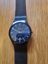 Skagen Slimline Watch