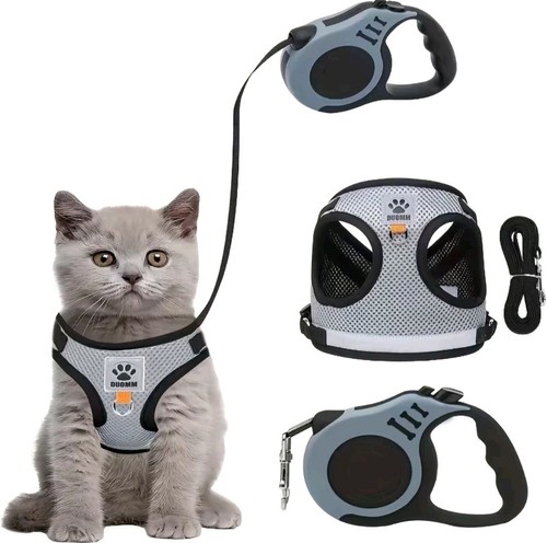 Cat harness and lead - harness,