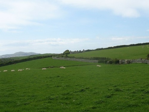 Photo 6x4 pasture land - photo,