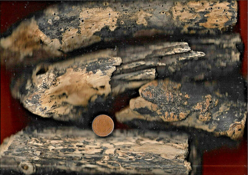 Dark marbled driftwood - dark,