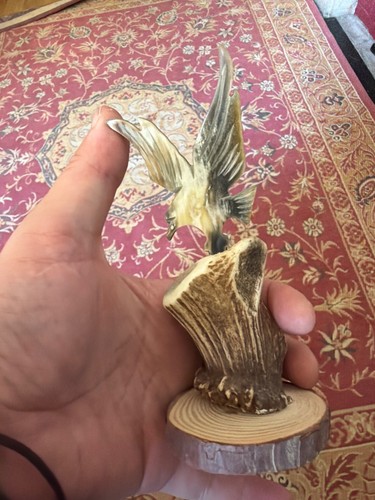 Deer antler bird sculpture