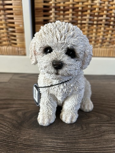 Vivid arts bichon - arts, frise