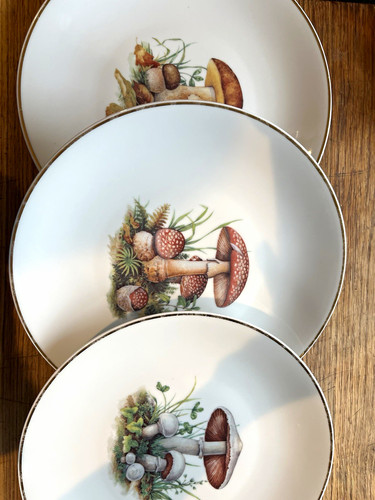 Set vintage limoges - set,