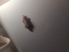 Vintage BRITAINS Plastic ZOO