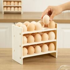 Foldable Egg Holder Storage