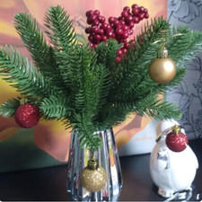 Pine Needle Plant Branch