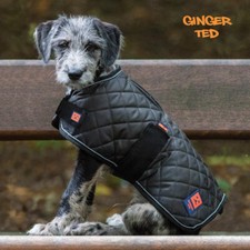 Ginger Ted Harness Warm Dog