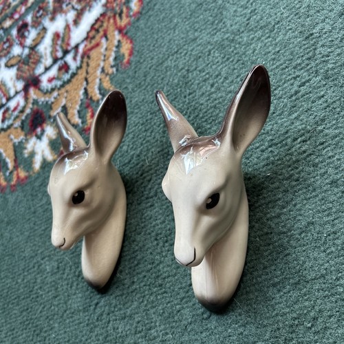 Midwinter vintage doe - ,