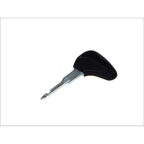 Ignition switch elements - 1x, switch/elements