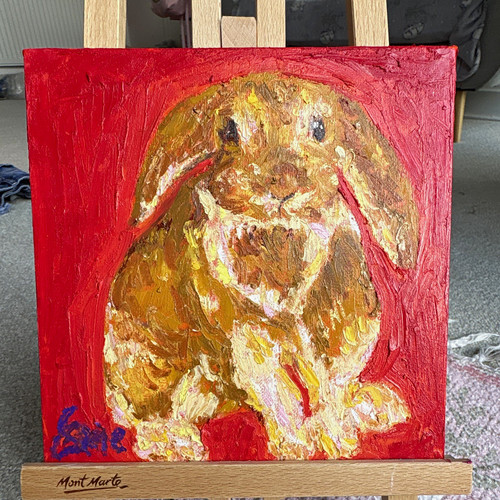 Mini lop rabbit original - lop,