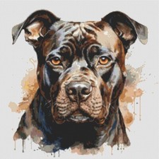 American Bully Puppy Dog