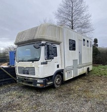MAN 7.5t Horse Lorry Truck