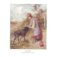 MYLES BIRKET FOSTER Playmates