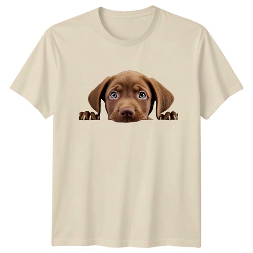 Peeking chocolate lab - peeking, puppy