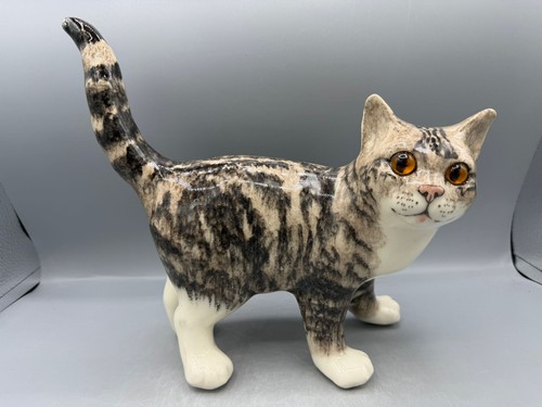 New winstanley tabby cat size - tabby,