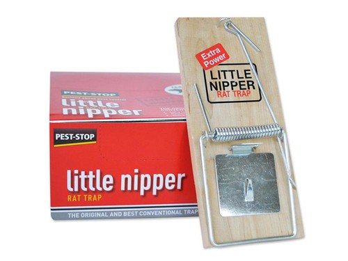Pest stop little nipper rat - pest-stop,